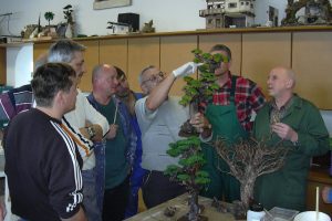 krippenbauschule bilder